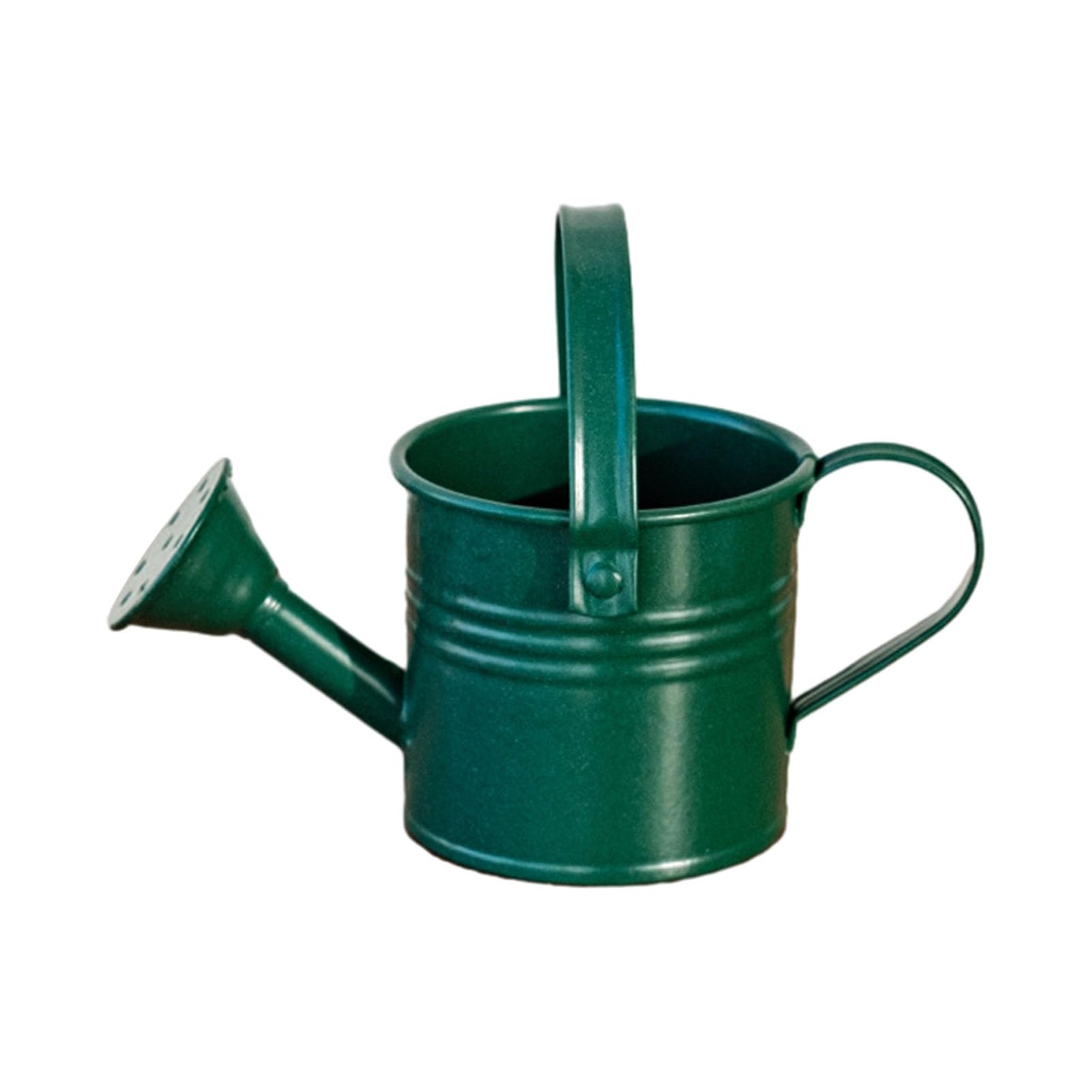 Rikuuui Metal Watering Can with Sprinkler Head Long Spout Watering Pot for Indoor Gardening Tool Small Size Iron Plant Care Equipment Home Balcony Terrace Potted Plants Atrovirens