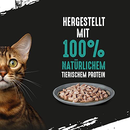 CRAVE Katze Portionsbeutel Multipack Sauce mit Thunfisch 13 x 4x85g