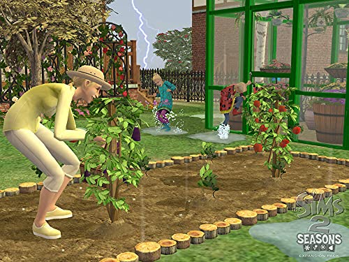 Les Sims 2 : Au fil des saisons