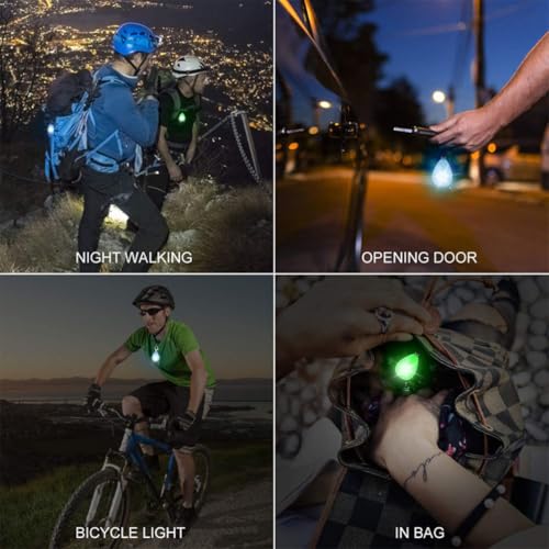 Lampe pour chien LED orange pour protéger votre compagnon la nuit