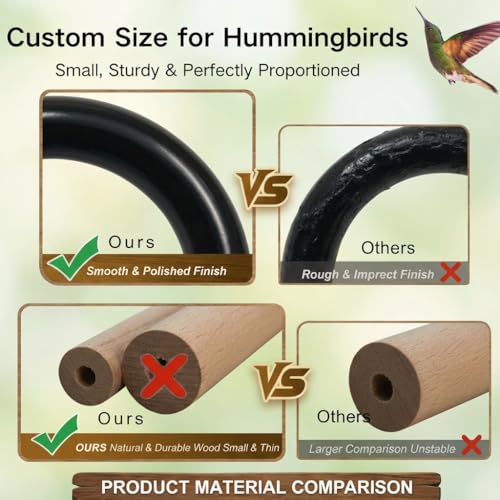 image for NESTURROW Hummingbird Swing & Perch for Outdoor – Rust-Resistant Met