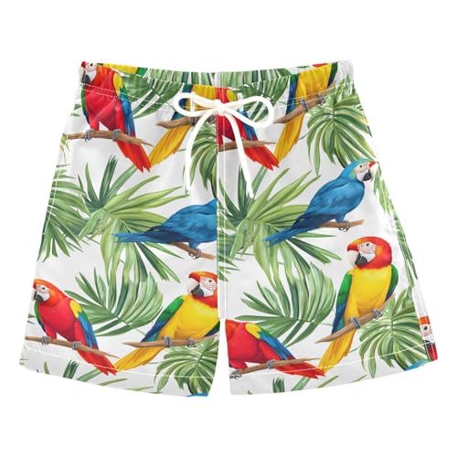 Colorful Parrot Boys Swim Trunks Toddler Shorts Swimwear Boardshorts