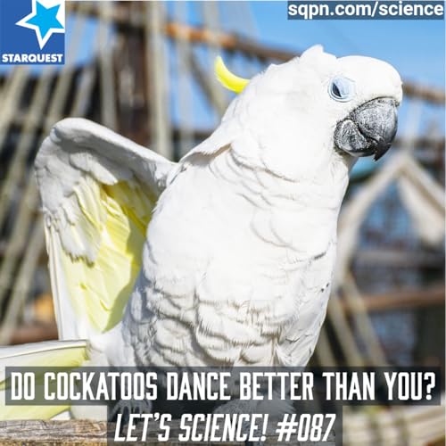 『Do Cockatoos Dance Better Than You? The Science Behind Their Moves』のカバーアート