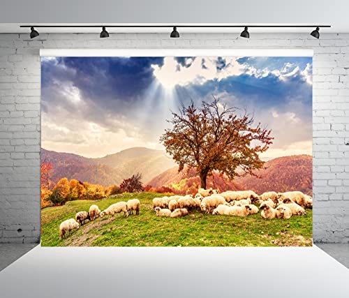 Fondo fotográfico BELECO 9x6 ft con paisaje y ovejas miniatura 4