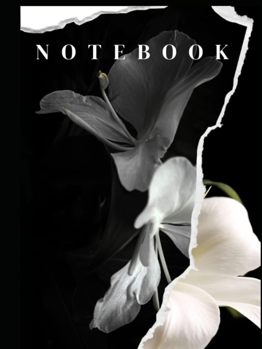 Giant Notebook:HARDCOVER 500 lined Pages,: Extra Large Notebook (8.25 x 11 in.) Designet by D.Grafschafter