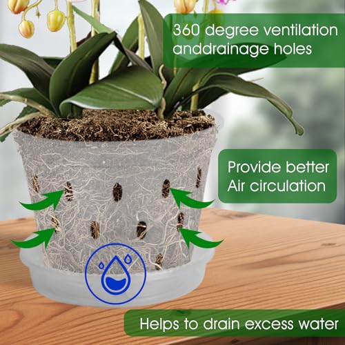 Yanuojie Seedling Pot, 5Pcs Plastic Clear Orchid Pot with Holes and Tray 14cmx10.5cmx9.3cm(Tray 13x2.5cm) - Image 4