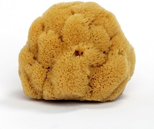Natural Sea Sponge, ca. 12 cm - Maison du Savon de Marseille