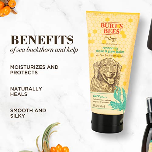 Buying Guide Burt's Bees for Dogs Toothpaste with Honeysuckle and Pepperm...