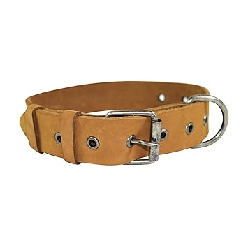 Hide & Drink, Rustic Thick Leather Dog Collar for Medium Size Dog (12 to 21 Inches) Handmade :: Old Tobacco