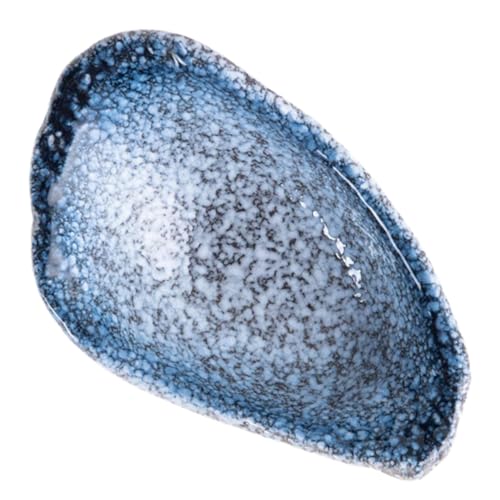 AKOOSY Coupelle Sauce Céramique Antidérapante Assiette Compacte et Stable pour Dips Bol Multifonctionnel pour Entrées Facile à Nettoyer Usage Quotidien