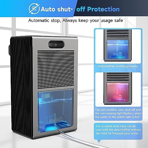 95oz Quiet Dehumidifier for Home (800 sq ft) - Portable with Drain Hose and 2 Modes for Bedrooms, Bathrooms, and More