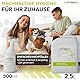 ViPiBaX Giardien EX Hygiene-Spray für Hund, Katze & Co - Geruchsentferner - Hygiene-Spray - Effektive Desinfektion gegen Giardien, Viren, Pilze & Bakterien - 500ml