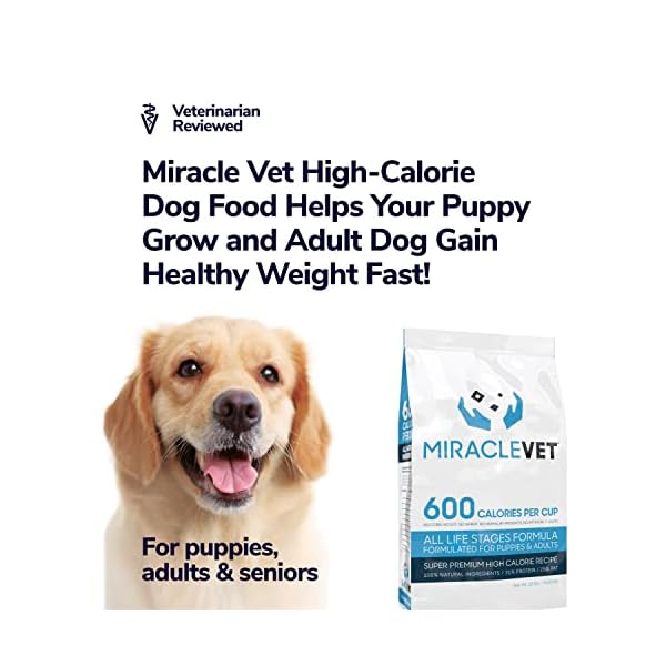 What Food Helps Dogs Gain Weight