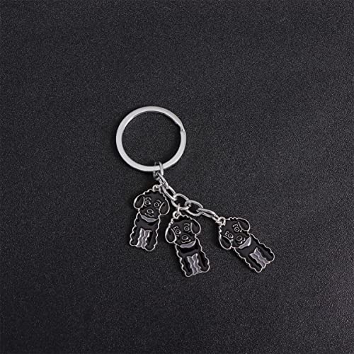 BESPORTBLE Niedlicher Hund Schlüsselbund Metall Auto Schlüsselring Tier Anhänger 2020 Abschluss Schlüsselanhänger Kinder Geburtstagsgeschenke für Mädchen Familie Freunde Studenten (Pudel)