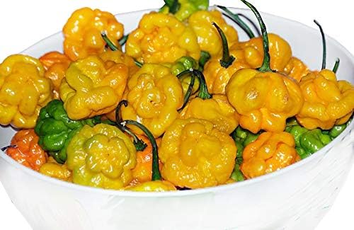 30 Yellow Scotch Bonnet Jamaican Hot Pepper Seeds Heirloom Non-GMO Super Hot Spicy Grown in USA Capsicum annuum