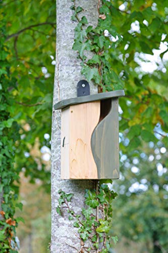 Simon King, Nistkasten mit gebogenem Hohlraum – Bild 7