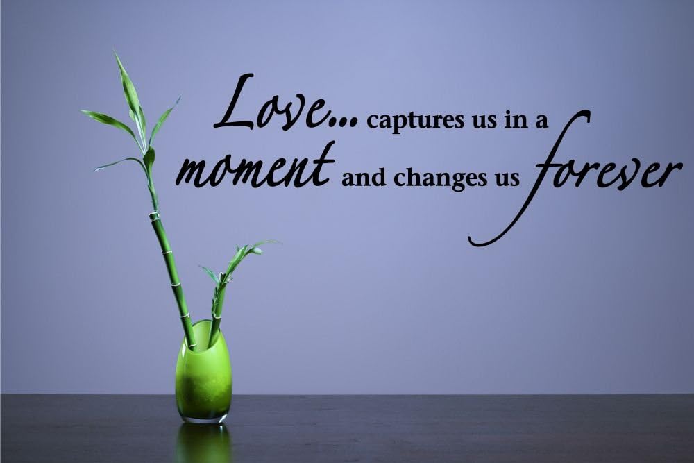 Love. captures us in a Moment and Changes us Forever Vinyl Wall Decals Quotes Sayings Words Art Decor Lettering Vinyl Wall Art Inspirational Uplifting