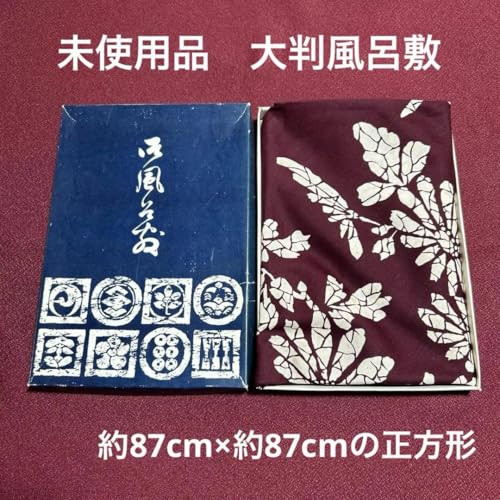 唻C~ C~ 񂶐F  GRobO CN n