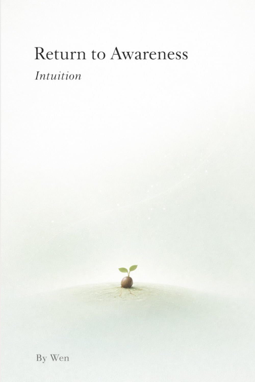 RETURN TO AWARENESS: A FIVE - YEARS MEDITATION RECORD (meet awareness in the universe, return to yourself on earth)
