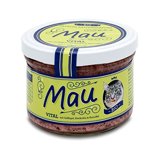 Dürfen Katzen geräucherten Lachs essen? katzenparadiese.de