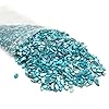LYFJXX Crushed Shells for Crafts, Sea Shells for DIY Art, Vase Fillers Table Scatter, Party Favor, Wedding Decoration, Succulents Plants Soil Cover, Art Crafts #2