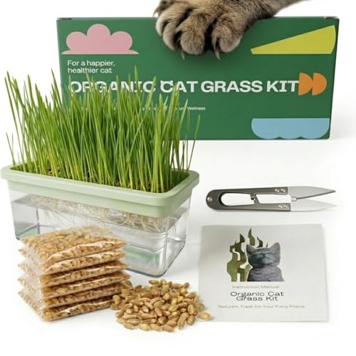 Hydroponic Cat Grass Kit with 6 Pack Non GMO Seeds & Scissors - Cat Grass for Indoor Cats Helps Cat with Hairballs & Digestion Easy 3-Step Setup (Food-Safe PP&AS Plant 3-6 Times)
