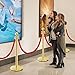 Gold Stanchions, Red Carpet Ropes and Poles, Stainless Steel Barriers for Party, Museums, Wedding, Easy Connect Assembly, 2PCS