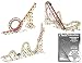 K'NEX Education - Roller Coaster Physics Set - 2,058 Pieces - Ages 16+ Engineering Educational Toy