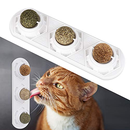 diy compressed catnip balls