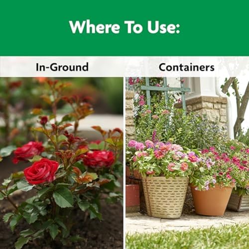 Image of Miracle-Gro Shake 'N Feed Rose & Bloom Plant Food, 4.5 lb