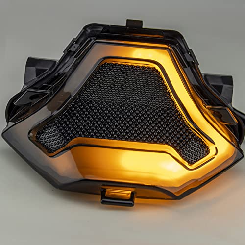 Domary Lâmpada traseira LED Luz de freio de motocicleta Lâmpada traseira com LEDs de mudança de dire