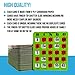 Regal Bingo Bulk Bingo Cards with Sliding Windows - Reusable Large Print Bingo Game Cards for Adults Large Group - 25 Pack, Green