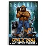 Lantern Press 6x9 Inch Metal Sign, Georgia, Smokey Bear, Only You Can Prevent Wildfires