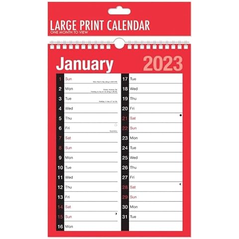 VR Angel 2023 Wall Calendar A4 Large Print Month to View Planner Spiral Bound Calendar for Home Business Office School (A4 Large Print Calendar) Cover