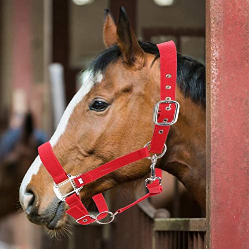 Paardrijaccessoires 6 mm trainingshalster hoofdstel, rode kleur halster, voor autorijden - Afbeelding 6