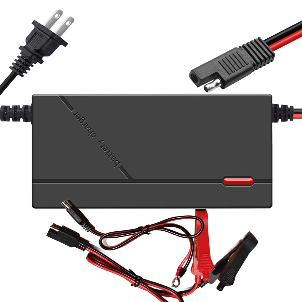 Amazon.com: 5 Amp 12V / 14.6 Volt Smart LiFePO4 Lithium Battery