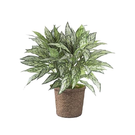 Lifelike Silver Queen Silk Floor Plant