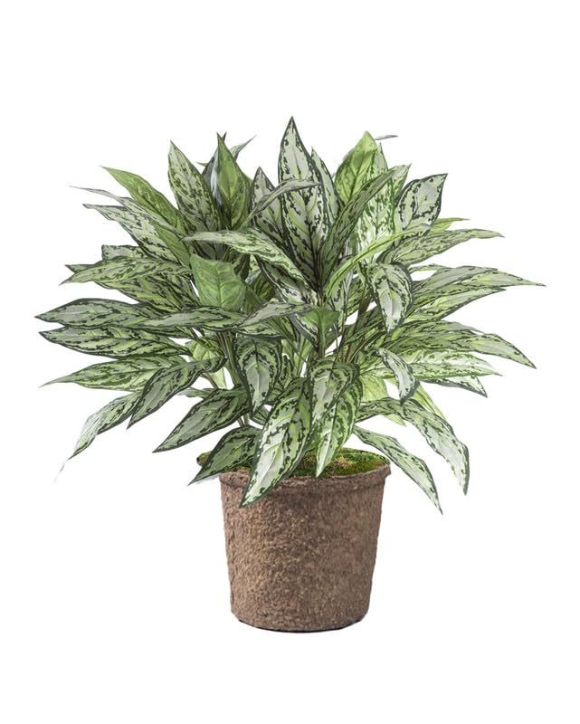 Petals Silver Queen Silk Floor Plant with Liner — Handcrafted & Amazingly Lifelike