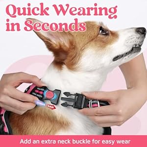   rabbitgoo-Dog-Harness-Medium-Sized-No-Pull-Dog-Vest-Harness-with-3-Buckles-Adjustable-Soft-Padded-Pet-Harness-with-Easy-Control-Handle-and-Reflective-Strips-Pink-M