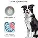 Dog Slow Feeder, rutschfestes Puzzle-Haustier Langsamere Futterfütterungsgerichte, langlebig, um Erstickungsgefahr zu vermeiden, Grün