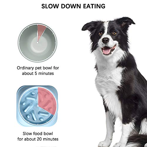 Dog Slow Feeder, rutschfestes Puzzle-Haustier Langsamere Futterfütterungsgerichte, langlebig, um Erstickungsgefahr zu vermeiden, Grün
