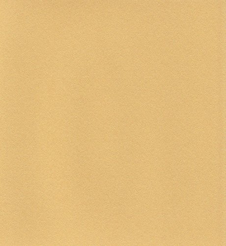 エスケント 色画用紙 ケント紙 スターライト 八切 ゴールド 100枚 5793008