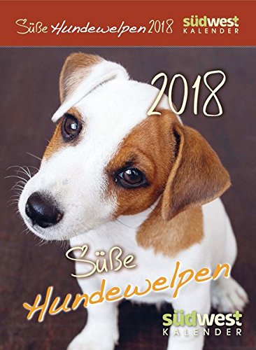 Süße Hundewelpen 2018 ABK Süße Hundewelpen 2018 ABK