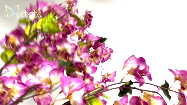 Amazon.com: DILATATA Artificial Bougainvillea Branches 47