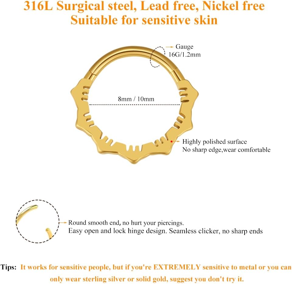 MissNity 16G Clicker Rings 316L Surgical Steel Hinged Hoops for Septum, Daith and Cartilage Earlobe Piercings Jewelry, Diameter 8mm, 10mm