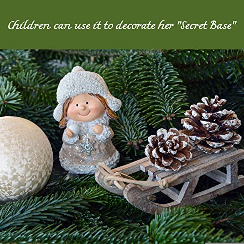 Apragaz 24 pigne, pigne di pino naturale con