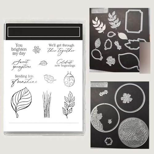 Neueste Produkte für 2026 Klar Stempel Und Metall Schneiden Sterben Set Für DIY Ostern und Valentinstag Handwerk Scrapbooking Geburtsta Grußkarte (6642-stempel und Stanzformen Set)