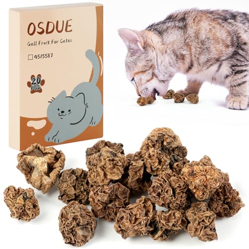 OSDUE Jouets pour Chats,40g Fruits Matatabi Jouets molaires de Cat en Bois Naturel, Fruits Matatabi pour Grincer des Dents Plus Intense Que Les bâtonnets et Herbe à Chat
