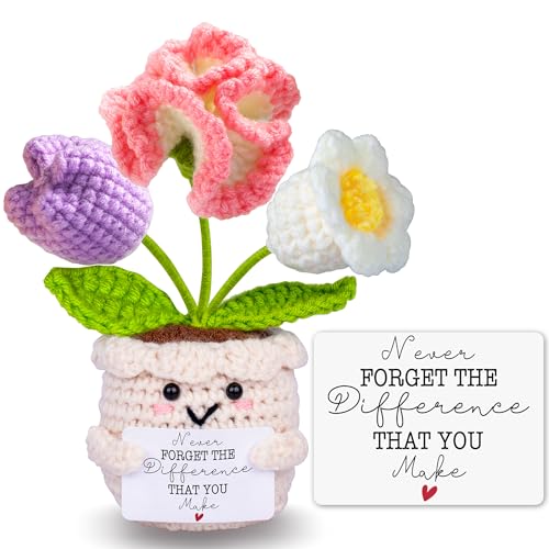 Teacher Appreciation Gifts Thank You Teachers Gift End of Year Teacher Gifts Graduation Birthday Retirement Gift for Teachers Mentor Coworker Boss Cute Handmade Crochet Carnations 3 Flowers Doll