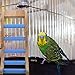 Ipetboom Parrot Cage Ladder Toy Bird Climbing Ladder Grinding Claw for Quaker Parrots Bird Biting Novelty Toy for Indoor Play